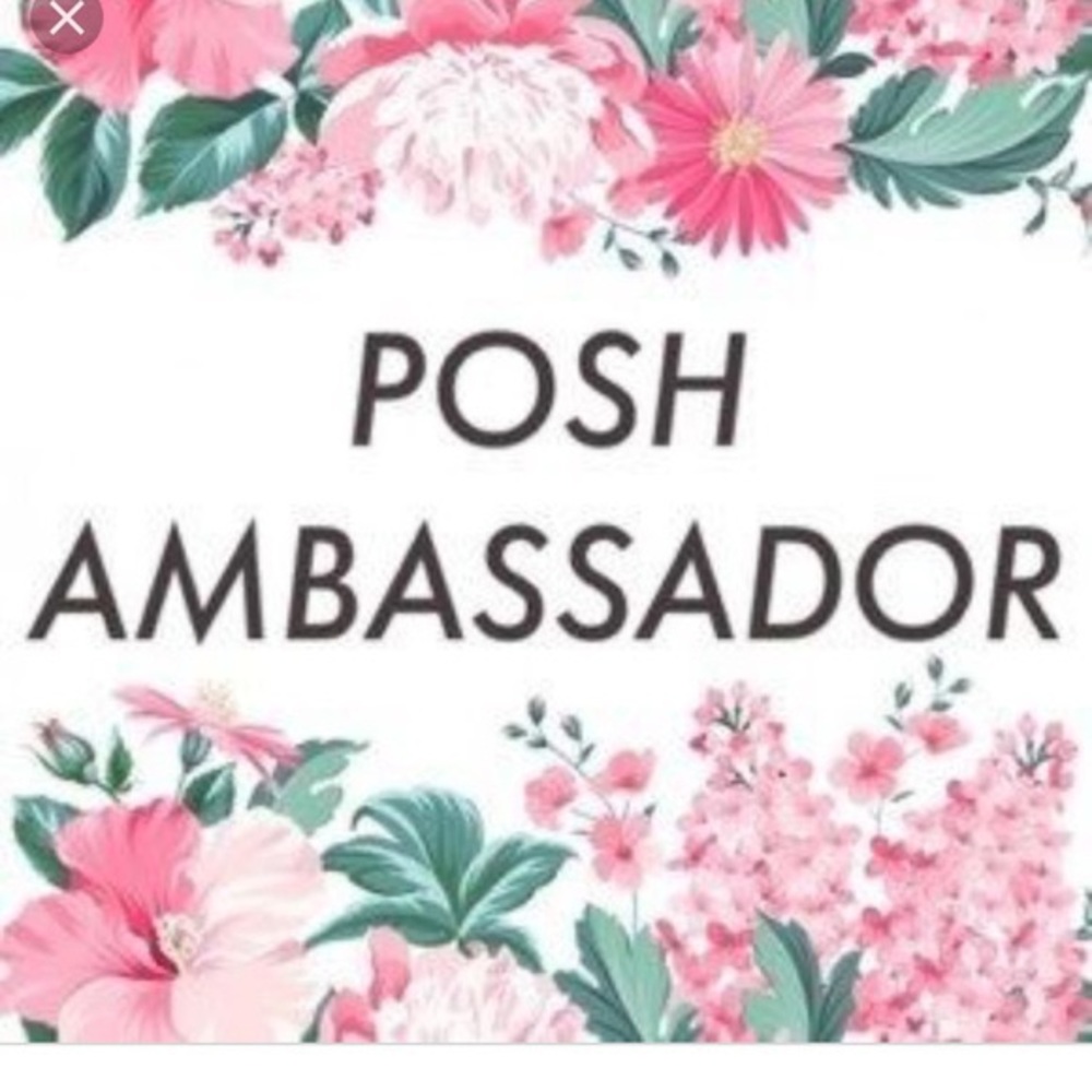 Ambassador status